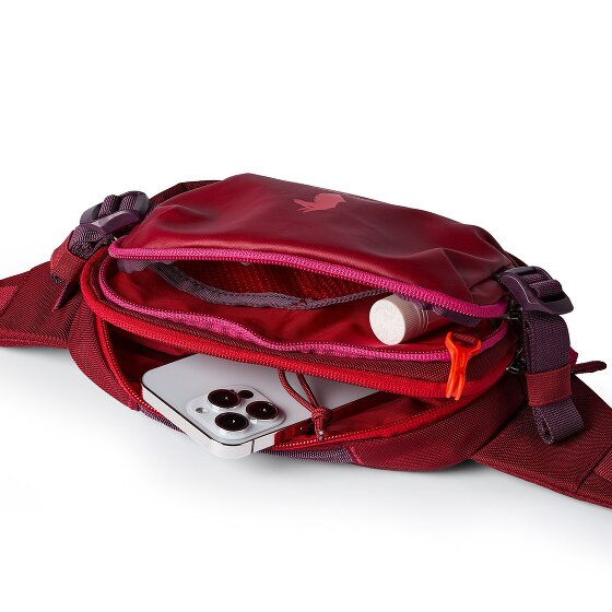 Cotopaxi Allpa Bum bag 24 cm