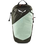 Salewa Pedroc Active Hiking backpack 42 cm Productimage