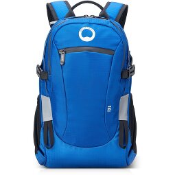 Delsey Paris Nomad S backpack 42 cm laptop compartment  Variant 1