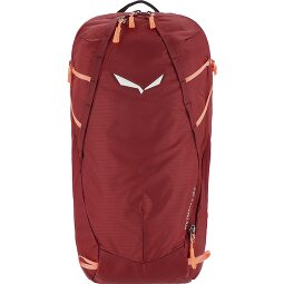 Salewa MTN Trainer 2 22L backpack w 47 cm  Variant 2