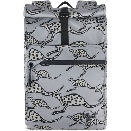 Chiemsee Jump N Fly Daypack 46 cm Laptop compartment  Variant 1