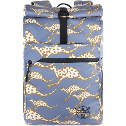 Chiemsee Jump N Fly Daypack 46 cm Laptop compartment  Variant 2