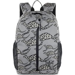 Chiemsee Jump N Fly Daypack 43 cm Laptop compartment  Variant 1