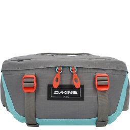 Dakine Hot Laps Fanny pack 17 cm  Variant 5
