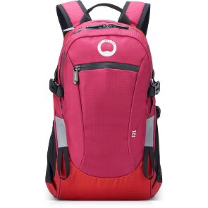 Delsey Paris Nomad S backpack 42 cm laptop compartment