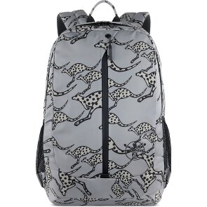 Chiemsee Jump N Fly Daypack 46 cm Laptop compartment