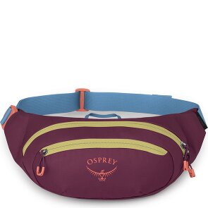 Osprey Daylite Waist belt bag 45 cm