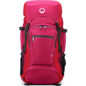 Delsey Paris Nomad L backpack 59 cm laptop compartment