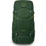 Ace 38 Trekking backpack 64 cm Variant green canopy-matcha green Ace 38 Trekking backpack 64 cm Variant green canopy-matcha green