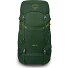  Ace 38 Trekking backpack 64 cm Variant green canopy-matcha green