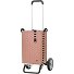 Alu Star Shopper Silja Shopping Trolley 65 cm Variant terra pink  Alu Star Shopper Silja Shopping Trolley 65 cm Variant terra pink