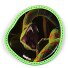 Wiggle Velcro Variant schlange Wiggle Velcro Variant schlange