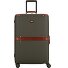  Story Viaggio Trunks 4 wheels Trolley 70 cm Variant foresta