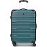  Amplar Evo 4 wheels Trolley M 65 cm Expandable Variant petrol