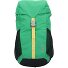  Kids Explorer Hiking backpack 42 cm Variant mystic green