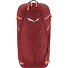  MTN Trainer 2 22L backpack w 47 cm Variant syrah