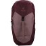  AC Lite 22 SL Hiking backpack 30 cm Variant ashrose-cassis