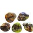 Contour Kletties 5pcs. Variant wilde pferdefreunde Contour Kletties 5pcs. Variant wilde pferdefreunde