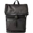  Ray Daypack 43 cm Laptop compartment Variant black
