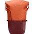  CityGo II 23 Daypack 53 cm Laptop compartment Variant buckeye