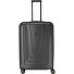  X-Ray 4 Roll Trolley 77 cm Variant anthrazit