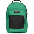  Study Buddy Daypack 44 cm Laptop compartment Variant shamrock green