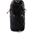  Alp Trainer 30L Backpack 65 cm Variant black out