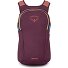  Daylite Daypack 43 cm Variant moody burgundy