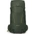  Kestrel 38 Trekking backpack S-M 79 cm Variant bonsai green