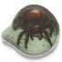 LED Velcro Variant spinne LED Velcro Variant spinne