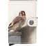 Art credit card case RFID leather 6 cm Variant art goldfinch  Art credit card case RFID leather 6 cm Variant art goldfinch