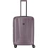  X-Ray 4 Roll Trolley 72 cm Variant taupe