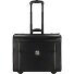  2 wheels Pilot trolley Leather 39 cm Variant schwarz