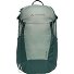  Wizard 18 L Hiking backpack 50 cm Variant agave
