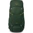  Ace 50 Trekking backpack 67 cm Variant green canopy-matcha green