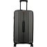 Vanguard 4 wheels Trolley 70 cm Variant dark grey Vanguard 4 wheels Trolley 70 cm Variant dark grey