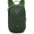  Jet 12 Hiking backpack 36.5 cm Variant green canopy-limeline green