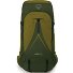  Atmos 65 Trekking backpack L-XL 90 cm Variant scenic valley-green peppercorn