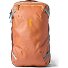  Allpa 28 L travel backpack 48 cm laptop compartment Variant whiskey