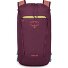  Daylite 0 Daypack 41 cm Variant moody burgundy