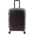  3400 4 wheels Trolley M 67 cm with expansion pleat Variant grey