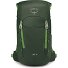  Jet 18 Hiking backpack 46 cm Variant green canopy-limeline green