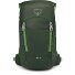  Jet 18 Hiking backpack 46 cm Variant green canopy-limeline green