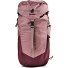  Telatie 24 L Hiking backpack 56 cm Variant ashrose-cassis