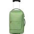 Flow 2 wheels Cabin trolley S 54 cm Variant pure jade green Flow 2 wheels Cabin trolley S 54 cm Variant pure jade green
