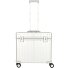 4 Roll Pilot Trolley 44,5 cm Variant platinum 4 Roll Pilot Trolley 44,5 cm Variant platinum