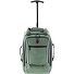  3900 2 wheels Backpack trolley 40 cm Laptop compartment Variant green