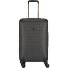 Wilder 4 wheels Trolley 64 cm with expansion pleat Variant charcoal Wilder 4 wheels Trolley 64 cm with expansion pleat Variant charcoal