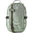  Tight Daypack 39 cm Laptop compartment Variant chlorophyll green-seaweed green