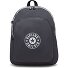  Curtis Daypack L 43 cm Laptop compartment Variant moonlit grey c